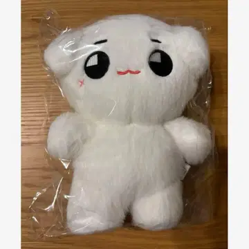 NCT127 태용 태형 봉제 인형 20cm