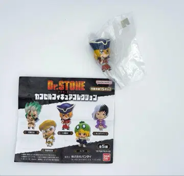 닥터스톤 캡슐 피규어 컬렉션 나나미 류스이