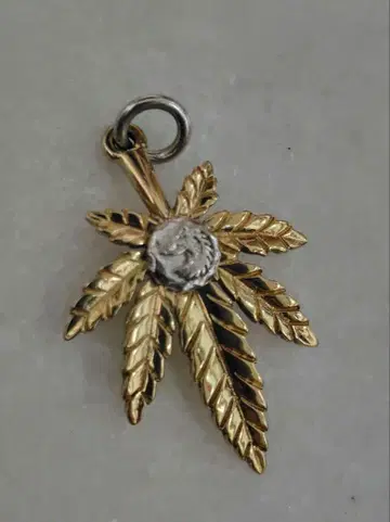 tady & king 전금 간자 M