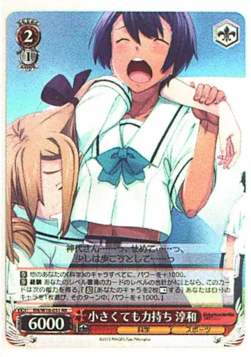 부시로드 바이스 슈발츠 RN/W16-051RR 작아도 힘세다 준화 RR