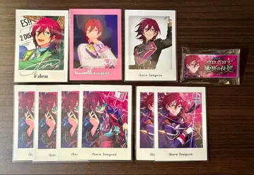 앙스타 사에구사 이바라 묶음 판매