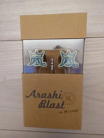 아라시 블라스트 인 미야기 이어폰 잭