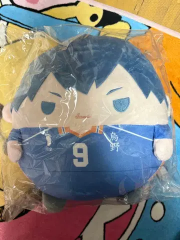 카게야마 토비오 하이큐 누이 복권 후와코로링 BIG B상