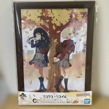 마도카와 미사키 A4 포스터 프레임 포함