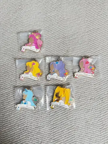 프리큐어 제일복권 아크릴 키링 세트