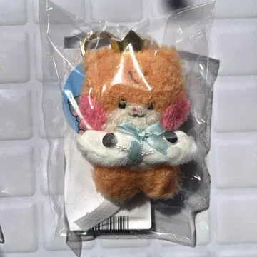 zeroni 비니니 프린스