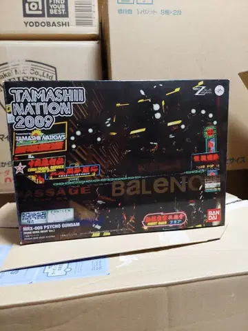 MSX-005 사이코 건담 TAMASHII NATION 2009