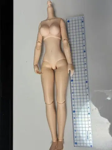 오비츠 바디 27 L컵 화이티