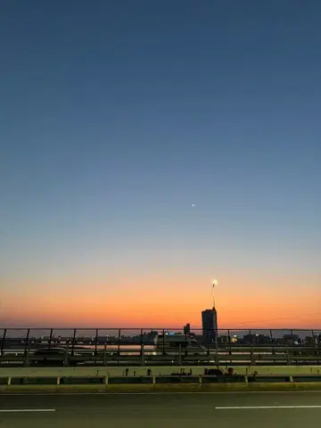 [ 한정판 ] 계속 한밤중이면 좋을 텐데 동료의 해골