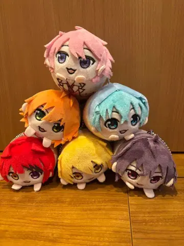 스토푸리 모찌코로링 묶음 판매