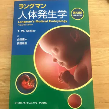 랭그먼 인체 발생학