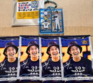 후쿠오카 소프트뱅크 호크스 야나기마치 타츠루