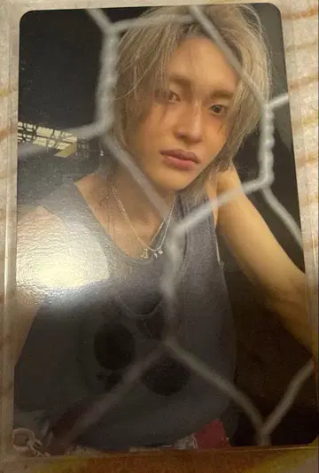 원빈 트레이딩 카드