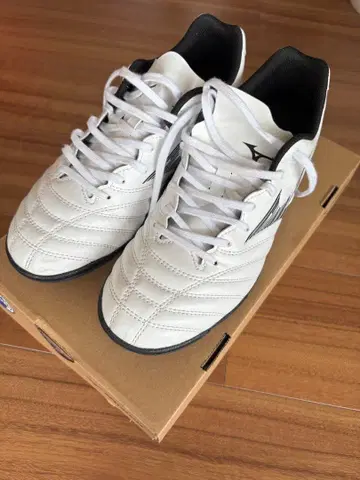 축구 트레이닝 슈즈 미즈노 모나르시다 24.5