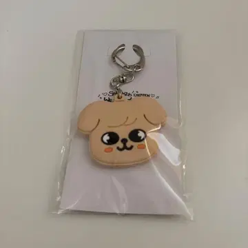 straykids skzoo 키 커버 puppym