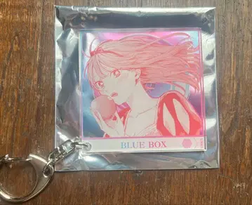푸른상자전 나비노 히나 CD 자켓풍 아크릴 키링