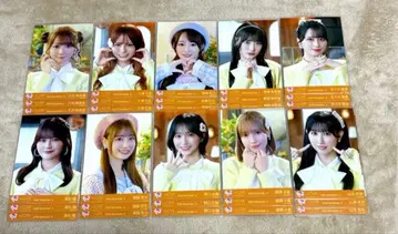 이코럽 브로마이드 코모레비 메조포르테 풀 컴프 오토시마 리사 타키와키 쇼