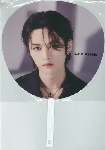 StrayKids 2023 5-STAR LeeKnow 부채 블랙