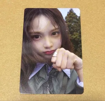 카르멘 트레이딩 카드 HMV 온라인 The Chase 비둘기 6