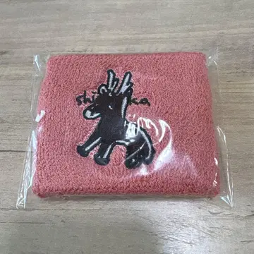 푸른상자 시카노 치나츠 치나츠 화백의 사슴 리스트 밴드