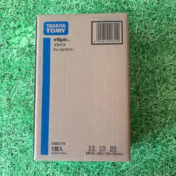 네오 브라이스 샐리 살마간디