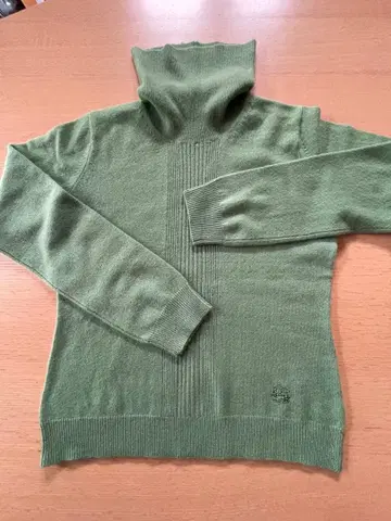 올리브 그린 터틀넥 스웨터