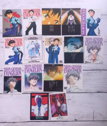 신세기 에반게리온 트레이딩 카드 14장 외 2장