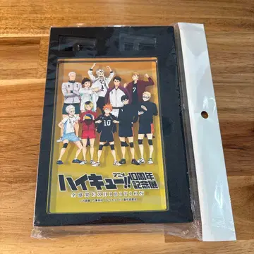 미개봉 새상품 하이큐 애니메이션 10주년 기념전 신작 아크릴 블록