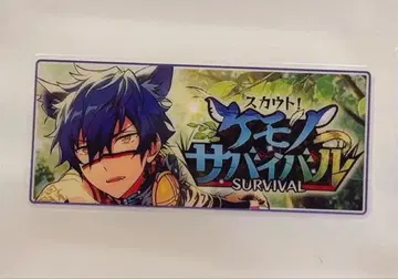 앙스타 바나콜레 테마 스카우트 전시 사자나미 쥰 쥰 하이에나