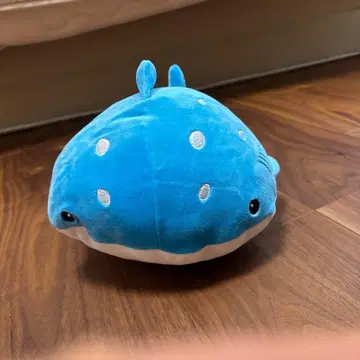 고래상어 봉제 인형 해유관