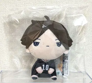 하이큐 모찌피코 봉제 인형 스나 린타로