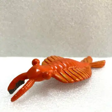 사파리 고대 생물 아노말로카리스 피규어