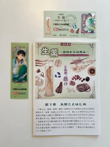 약사의 혼잣말 치바현립 중앙 박물관