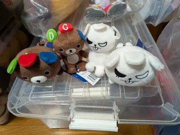 소닉 x 드림캐쳐 콜라보 봉제 인형 세트