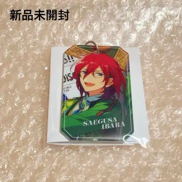 앙스타 TRIP 러기지 참 이바라