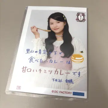 히나 페스티벌 카레 콜렉션 사진 시모이타니 유키호