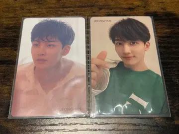 SEVENTEEN 세부치 정한 흩날리는 꽃잎 HMV 트레이딩 카드