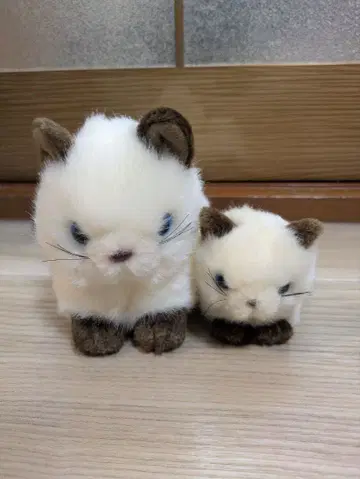 죽순 샴 고양이 봉제 인형