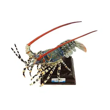 니시키새우 키탄클럽 네이처 테크니컬러 토바수족관 피규어