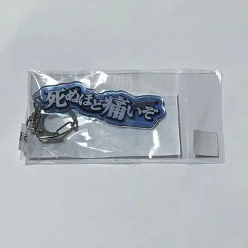 신 기동전기 건담 W 히이로 유이 명대사 키링