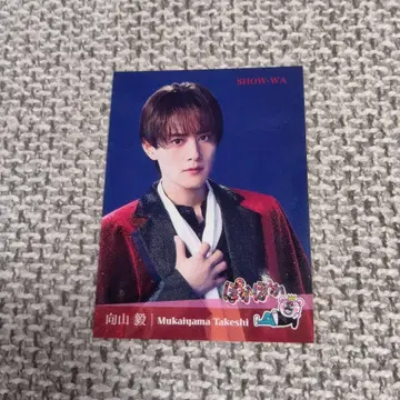 SHOW-WA 무카이야마 타케시 타케짱 포카포카 스티커