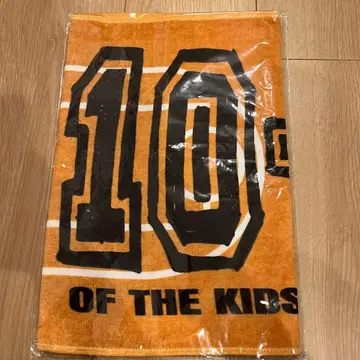 10-FEET 타월 바스켓 코트