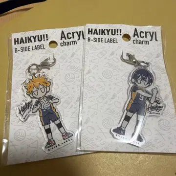 하이큐 B-SIDE LABEL 아크릴 참 카게야마 히나타