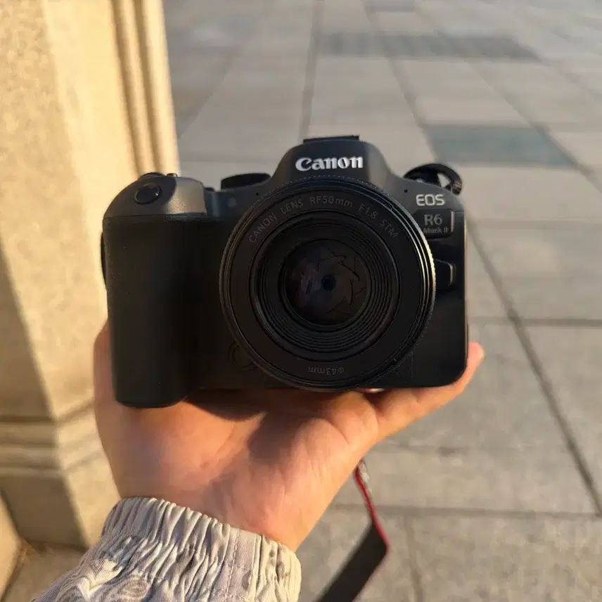 캐논r6m2+rf501.8