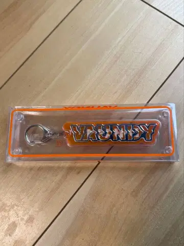 VAUNDY 바운디 vaundy replica 키링