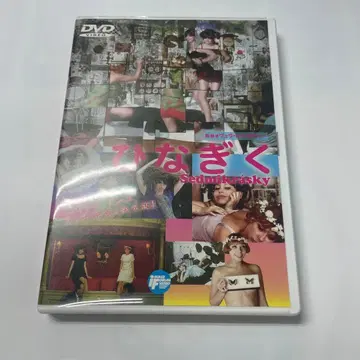 히나기쿠 ('66 체코슬로바키아)