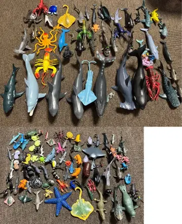 해양 생물 피규어 모음