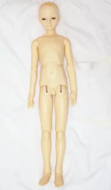 슈퍼돌피 13 남아 바디 + 교실A 헤드 보크스