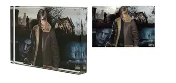 레온 아크릴 블록 대캡콤전 바이오하자드