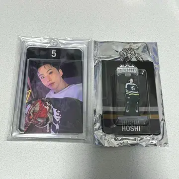 seventeen home 2025 호시 세트 트레이딩 카드 케이스 키링